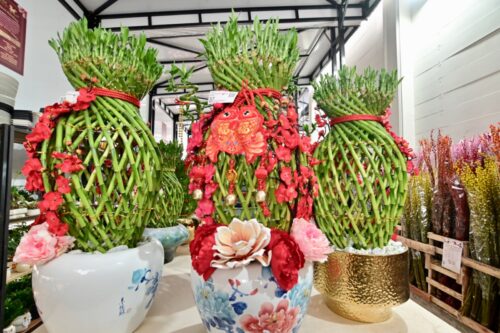 whatsapp image 2026 01 22 at 8.18.55 am