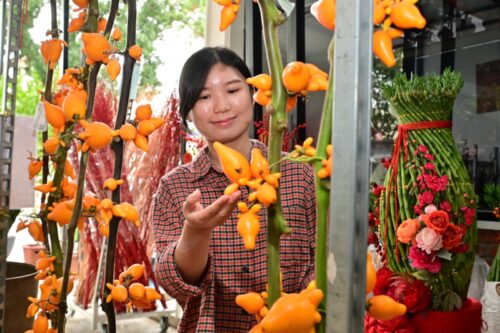 whatsapp image 2026 01 22 at 8.18.56 am (1)