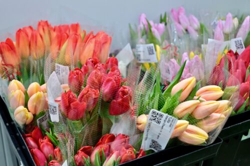 whatsapp image 2026 01 22 at 8.18.57 am (2)