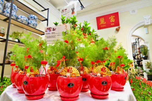 whatsapp image 2026 01 22 at 8.18.58 am (1)