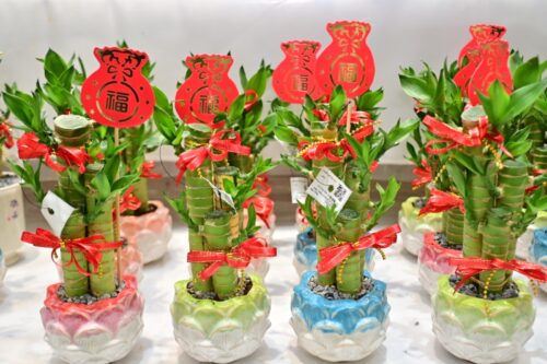 whatsapp image 2026 01 22 at 8.18.59 am (2)