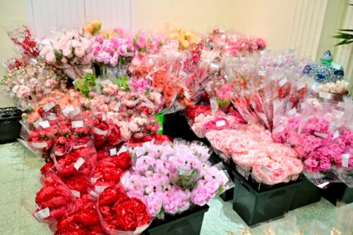 whatsapp image 2026 01 22 at 8.18.59 am