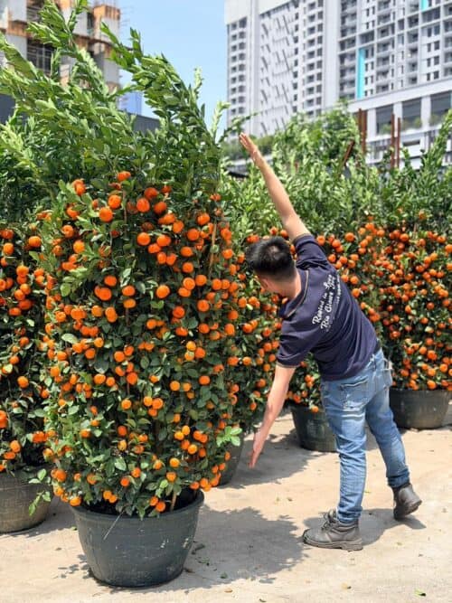 whatsapp image 2026 01 23 at 1.47.34 pm