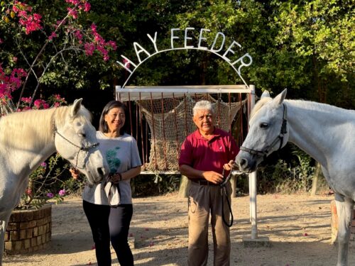 a7006234 c8ef 44ad 808e 3f91953208cf