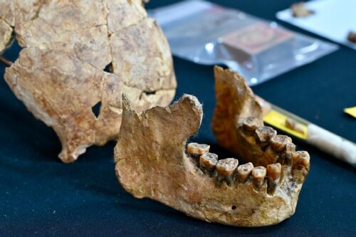 b2314e9c 1e29 4342 b685 f888214336b4