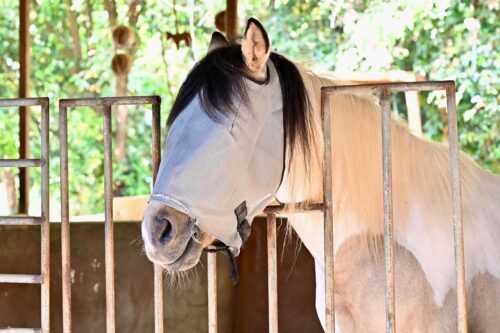 d2e5a4c6 7c91 4887 a249 9196c9ba6522