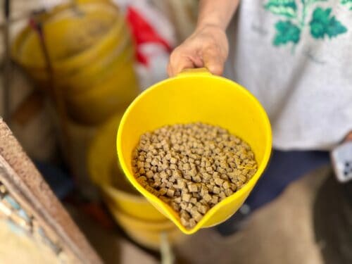 d71ddbf7 69f6 41e1 a536 253aaf08979d