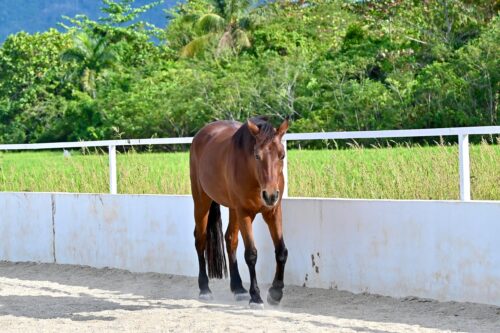 df726d33 2bc7 46cb a18c eebb3bf6f0a8