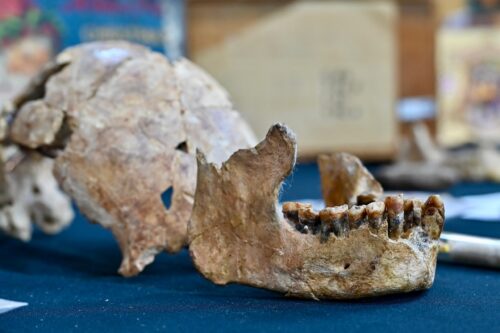 e4615685 5b25 4437 bb8b 30d7e3823576