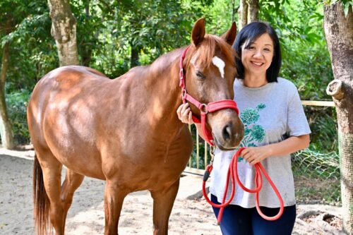 e71818c1 9176 43e1 b4e0 f13497b45076