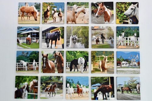 fdade670 91ba 480c bbb3 7e3a58fc6984