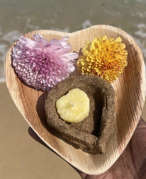 a49eafec 9edc 4d4f 9a1a 7a71c2bb0069