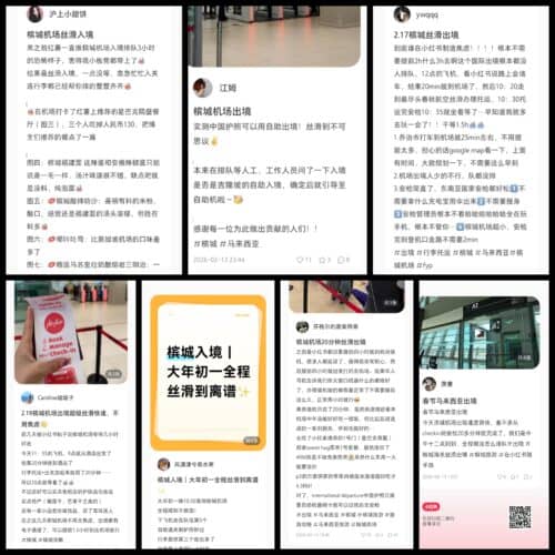 collage 20260226 121820981