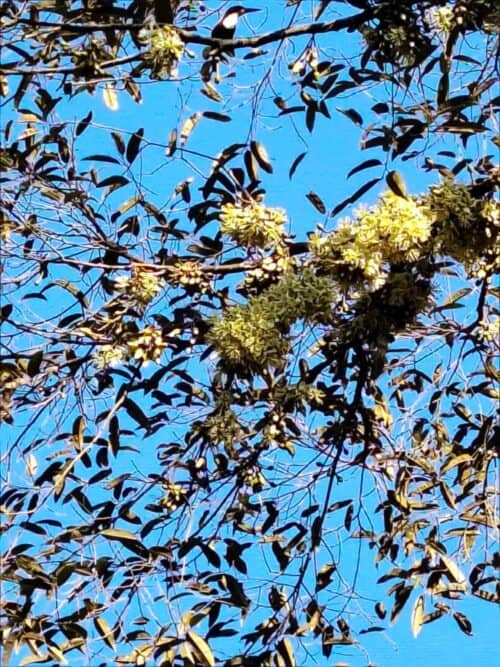 15fda246 d684 46ab ad16 21bfa464219a