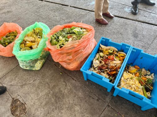 photo 2026 03 25 11 23 33