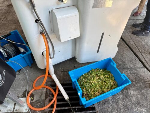 photo 2026 03 25 11 23 36