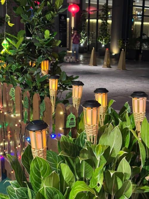 whatsapp image 2026 03 13 at 11.56.20 (1)