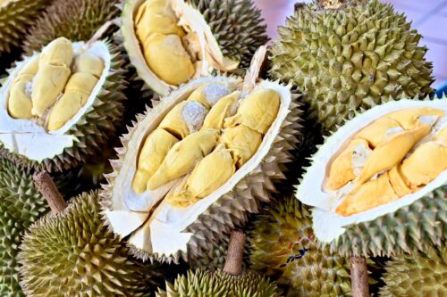 12f1d664 9ee3 4428 a152 96c72e62a1fc