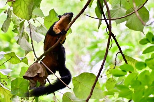 47350b6c 8c86 45ed b770 693815f922f6