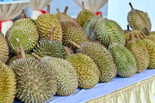 85f4545a 8f02 43ed 85bc 6654824d2e11