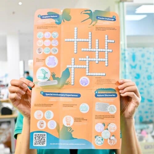 whatsapp image 2026 04 02 at 10.15.23 am