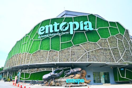 whatsapp image 2026 04 02 at 10.15.26 am