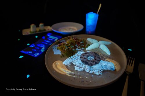 whatsapp image 2026 04 02 at 12.37.00 pm