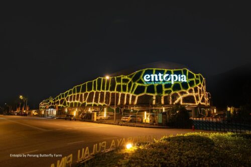 whatsapp image 2026 04 02 at 12.37.01 pm