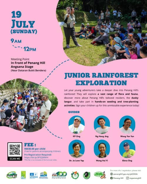 junior rainforest exploration