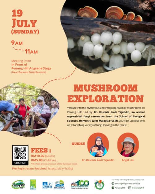mushroom exploration