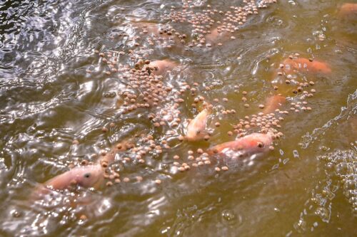 img 20260623 wa0031